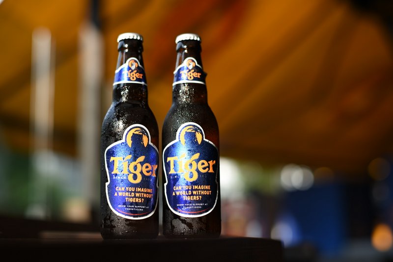 New packaging of Tiger Beer for Save The Tiger campaign